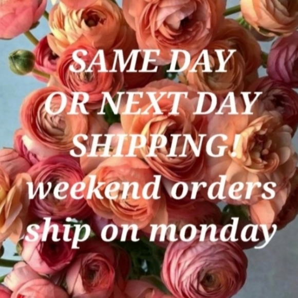 New Serum 15% - Super Antioxidant Power. - Picture 11 of 11